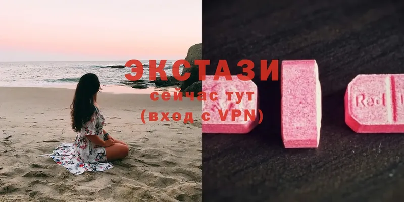 это как зайти  Каневская  Ecstasy Philipp Plein 